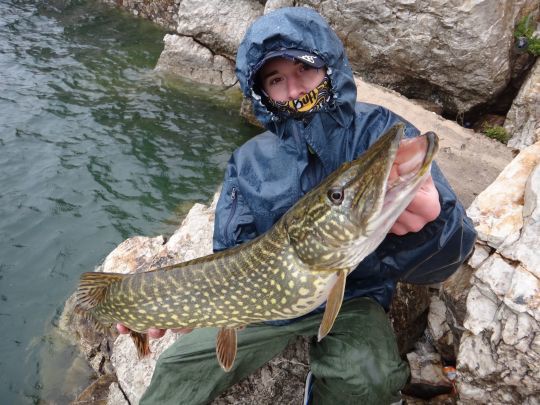 Un joli brochet sous la pluie
