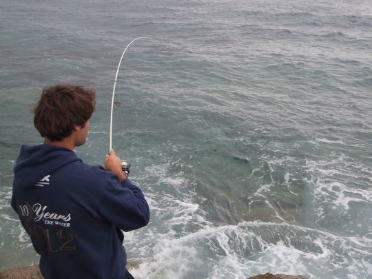 Une canne légère à scion plein procure des sensations même sur des petits poissons