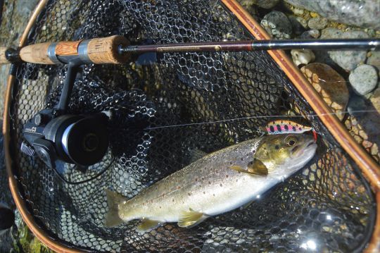 Un poisson nageur fait main et un Cardinal C3. La manière est là !