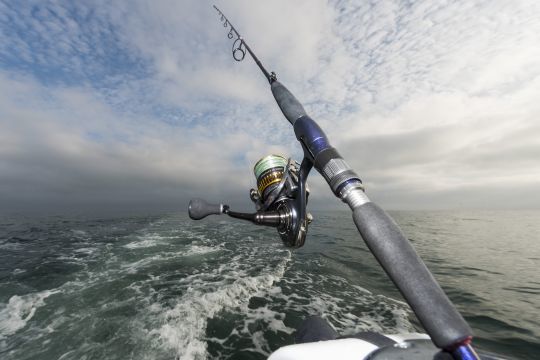 Moulinet spinning
