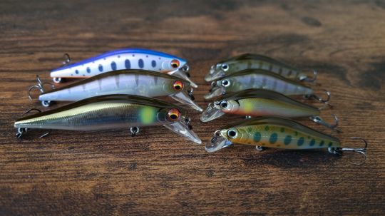 Mon jerkbait favori, le Wise Minnow