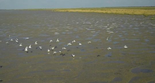 Le littoral
