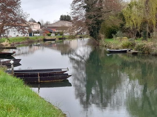 Les barques du marais poitevin 