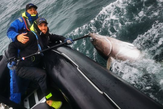 La pêche en no kill reste la pratique la plus courante.