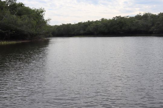 Grande lagune sur le rio Mataven, Colombie.