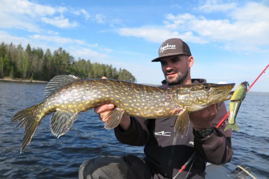 Un des nombreux poissons du séjour