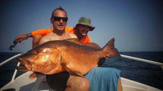 Un poisson trophée