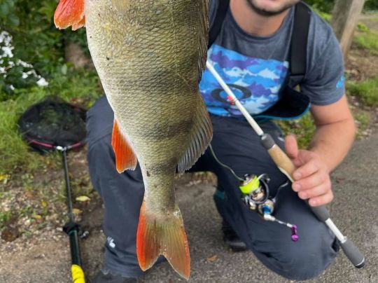 Un moulinet destiné aux pêche street fishing customisé