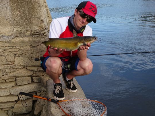 Un joli poisson c'est laissé tenter par un shad en 7 cm