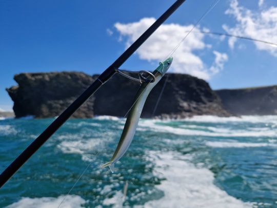 Lorsque les bars chassent les lançons, le Crazy Sand Eel en taille 150 ou 180 mm est un leurre qui vous apportera à coup sûr de bons résultats.