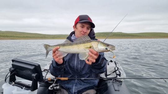 Un joli sandre sur un Duckfin 3 pouces