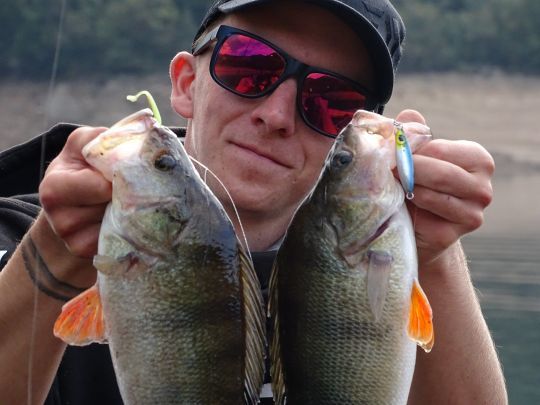 Un Duckfin 4.5 cm pour parfaire un montage drop-shot