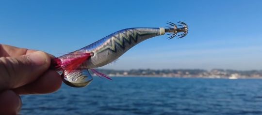 La turlutte, un leurre pour les céphalopodes 