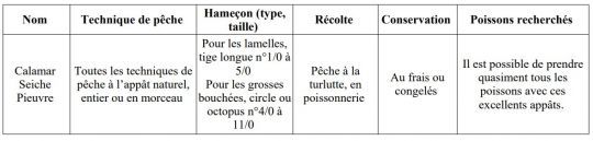 Les céphalopodes à escher