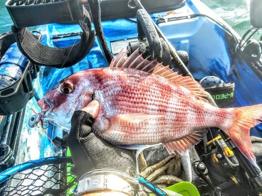 Deux techniques qui sont adaptées à la pêche en kayak