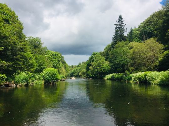 L'Ellé est une excellente rivière pour la pêche à la mouche de mai