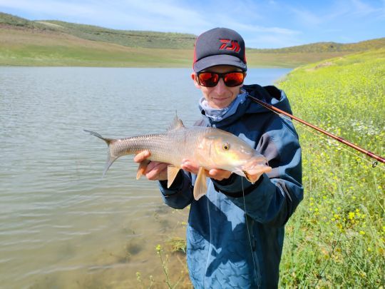 En fond de baie, de l'eau teintée et un joli poisson