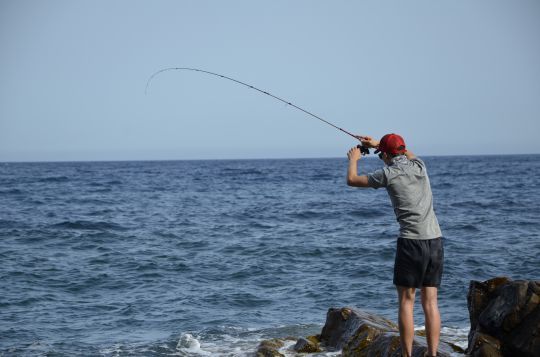 La pointe souple en action