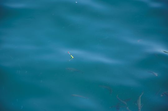 L'excitation de la pêche au flotteur