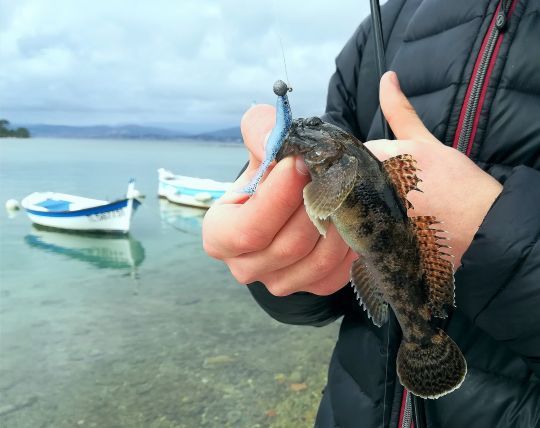 Le rockfishing pour les adolescents