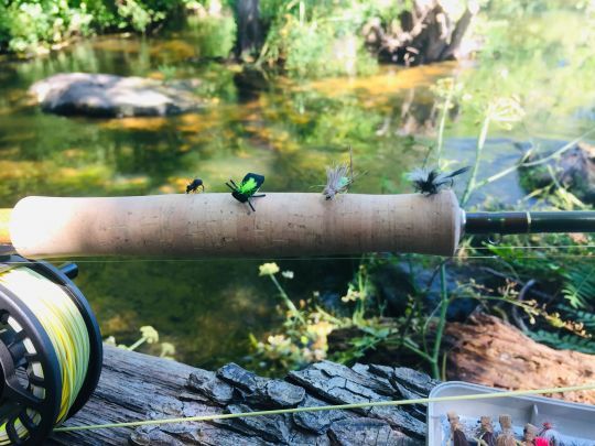 Une petite sélection de terrestre pour l'été