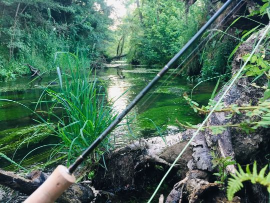 Un matériel adapté sera de mise pour bien pêcher dans les petites rivières bretonnes