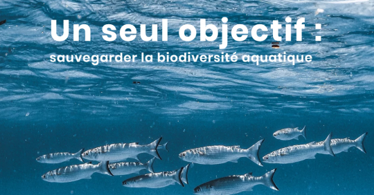 Défense des Milieux Aquatiques