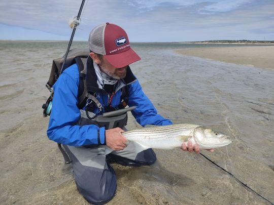 Pêcheur voyageur