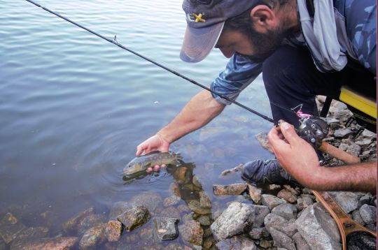 Le baitfinesse est très efficace après une phase d'apprentissage