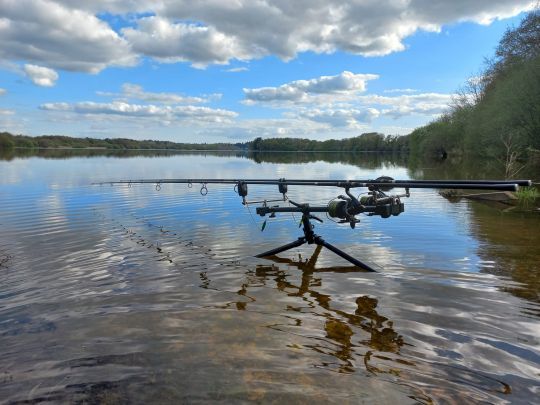 Pêcher la carpe en batterie