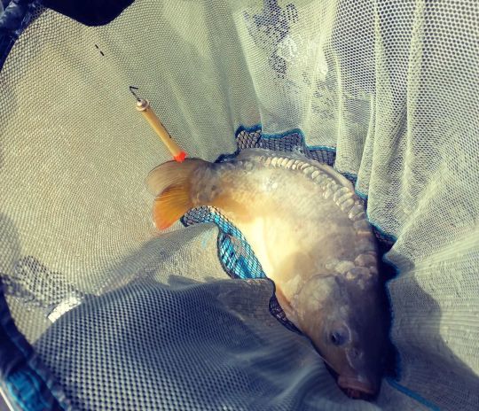 Une pêche dynamique