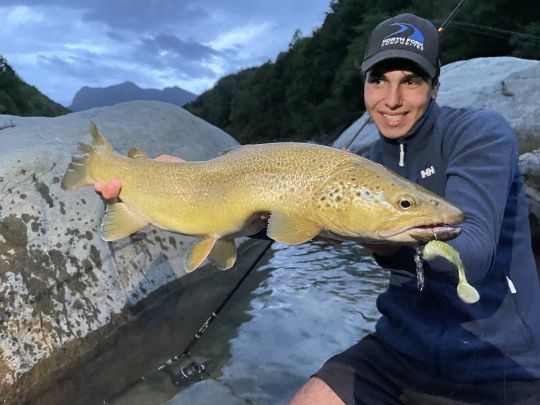 Des proportions incroyables pour cette Marmorata 