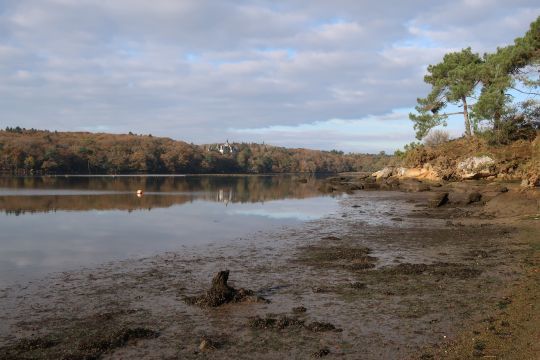 Les estuaires sont d'excellents spots pour le bar notamment pour la pêche à vue