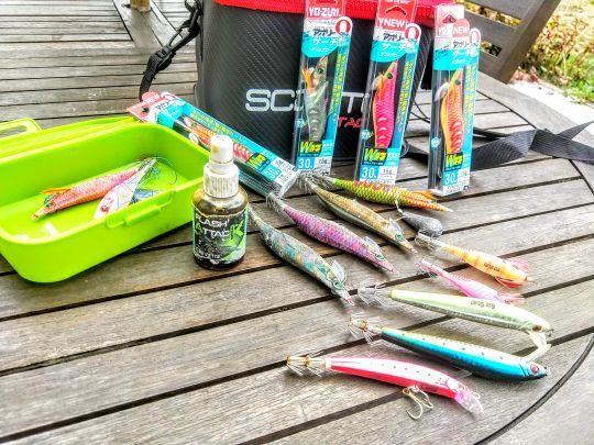 Calamarettes et attractant