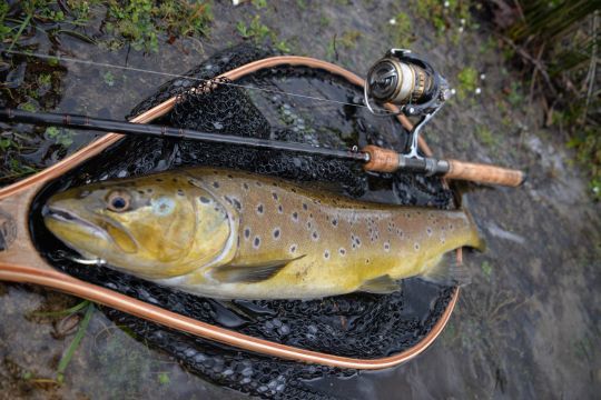 Un ratio adapté permet de mieux pêcher et peut être déterminant sur les gros poissons