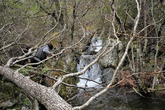 En milieu encombré, une canne courte est indispensable