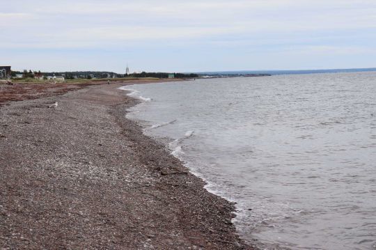 Les bars rayés apprécient les plages de galets.