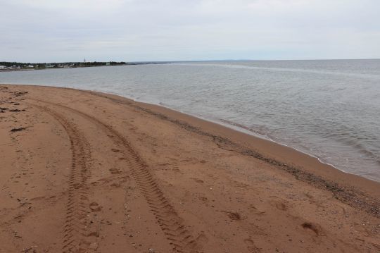 Les plages de sable donnent de moins bons résultats pour la pêche du bar.