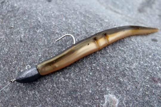 Le slug, un leurre facile d'utilisation et efficace pour pêcher le bar rayé.