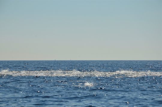 Se positionner à la bonne distance de lancer