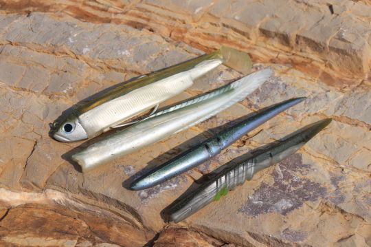 Le dos kaki, vendre gris, est une valeur sûre pour pêcher le bar rayé en Gaspésie.