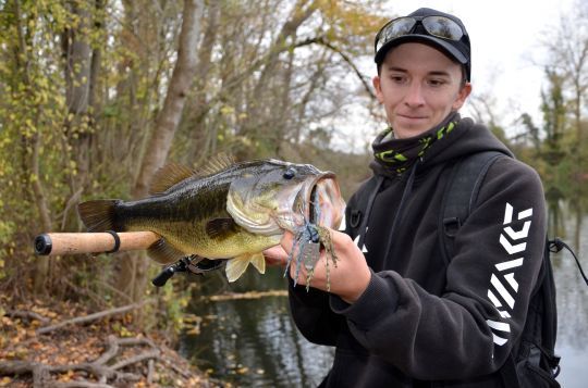 Chercher les jolis poissons