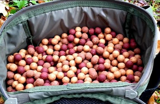 Des appâts de qualité.