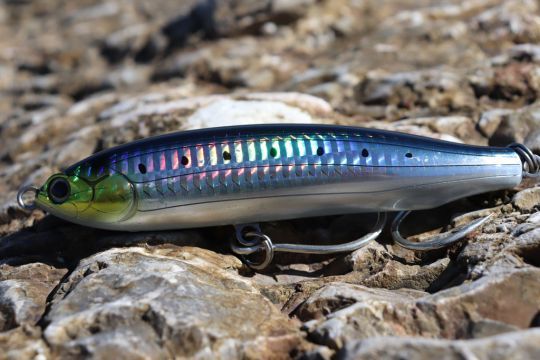 Le Britt CPB 120 se lance bien et loin.