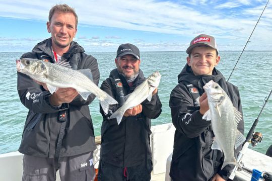 Quelques bars pris en prefishing, c'est-à -dire en pêche de repérage