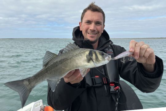 Un bar presque maillé au jerkbait