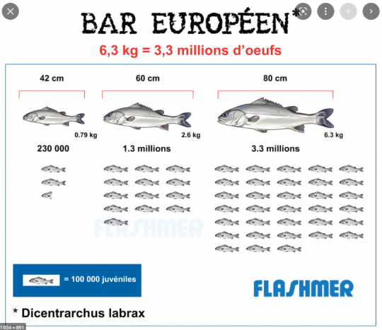 Bars, les meilleurs géniteurs