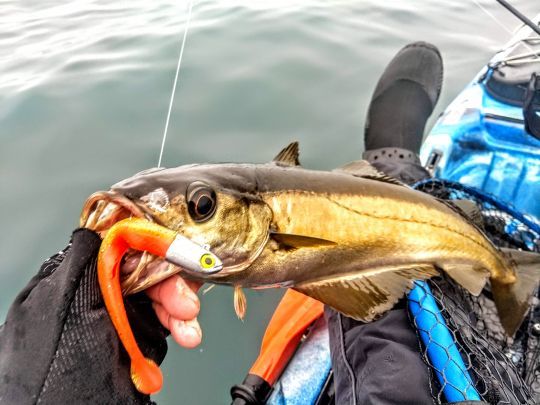 Pêche au leurre souple