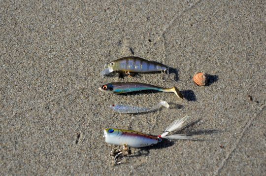 Sélection de leurres pour pêcher les plages