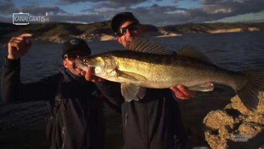 Un joli poisson de 70 cm pour Tony sur cette journée du bord.
